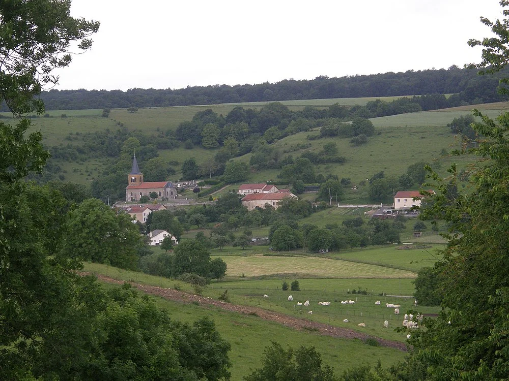 Panneaux solaires à Réville-aux-Bois